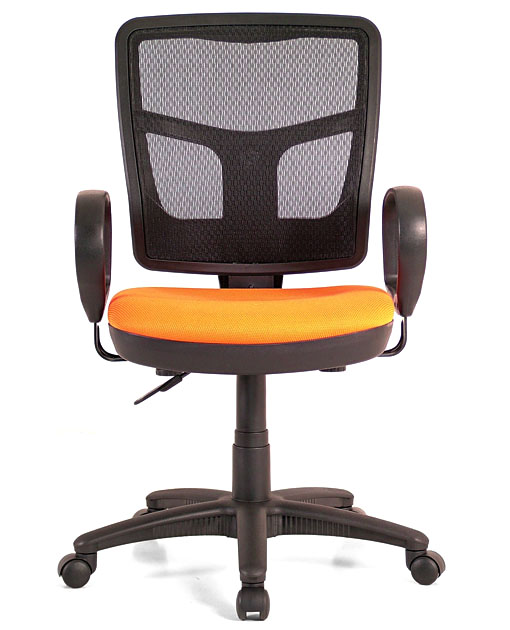 Elegant Mesh Chair 網椅 M537B21N