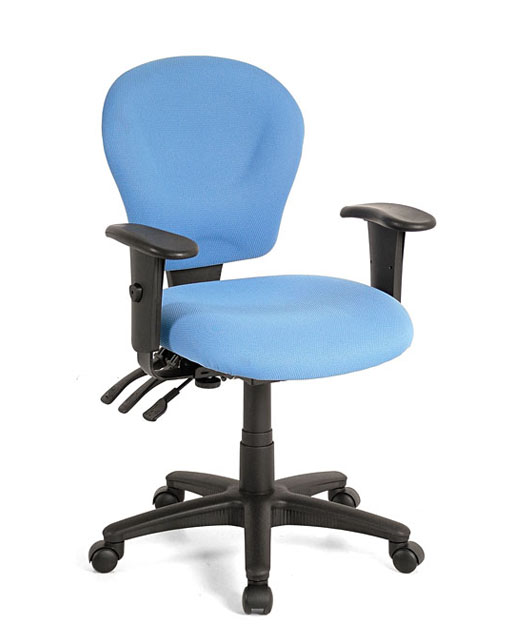 Elegant Office Chair 辦公椅 U283B68E