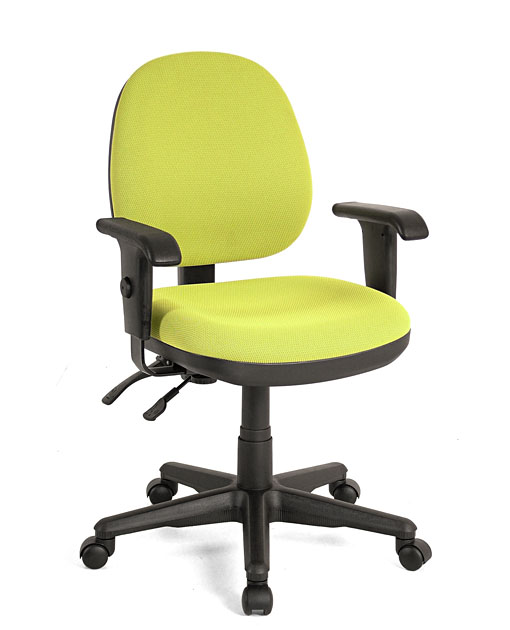 Elegant Office Chair 辦公椅 U515B53D