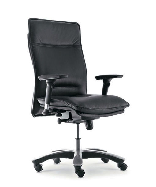 Luxus Director Chair 大班椅 D791E